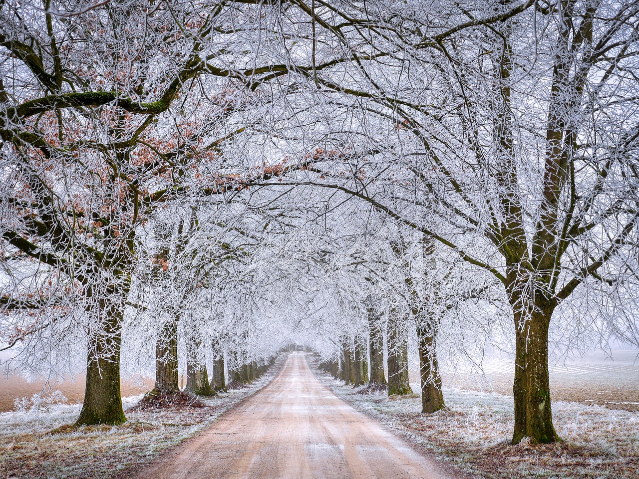 Crafting an Indoor Snow Day: Winter Crafts for Kids